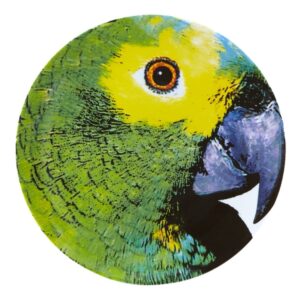 Papuga talerz dekoracyjny Olhar o Brasil Vista Alegre