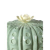 Kaktus Astrophytum dyfuzor zapachowy z porcelany Lladro góra
