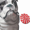 Bulldog with Lollipop figurka 33 cm Lladro zbliżenie